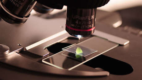 Hallan en Australia un mineral extremadamente raro que solo se forma por el impacto de un meteoro