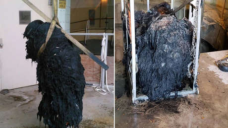 EE.UU.: Buzos desatascan las cañerías de una ciudad, atascadas por una 'montaña de grasa' (FOTOS)