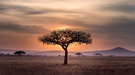 Sudáfrica: Ciudad aprueba aplicar reforma agraria nacional y expropriar tierras a población blanca