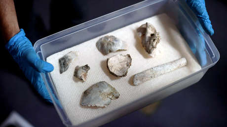 Brasil: Hallan entre los restos del museo incendiado el cráneo de Luzia, un fósil de 12.000 años 