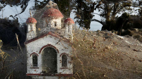 Como en una película de terror: Miles de arañas se adueñan de un lago en Grecia 