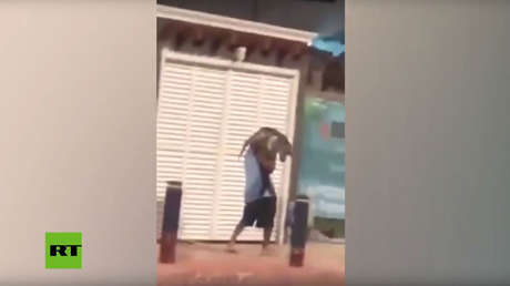 VIDEO: Roba una tortuga en peligro de extinción en una playa mexicana