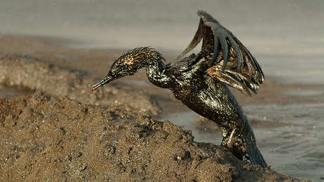 FOTOS: Publican imágenes satelitales del derrame de petróleo en la zona de Vaca Muerta en Argentina