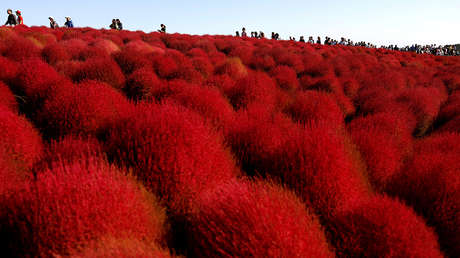 Bisontes, castillos y reflejos de la luna: disfrute las imágenes más llamativas de la semana