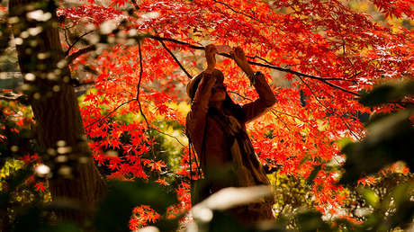Un parque de Tokio pierde miles de dólares por el miedo de un empleado a cobrar a los extranjeros