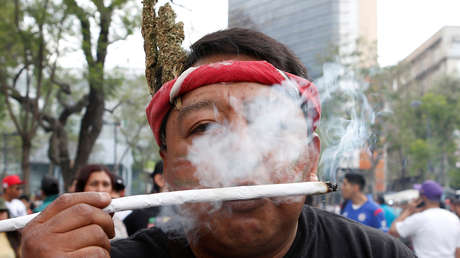Avanza legalización de la marihuana en México con fines recreativos