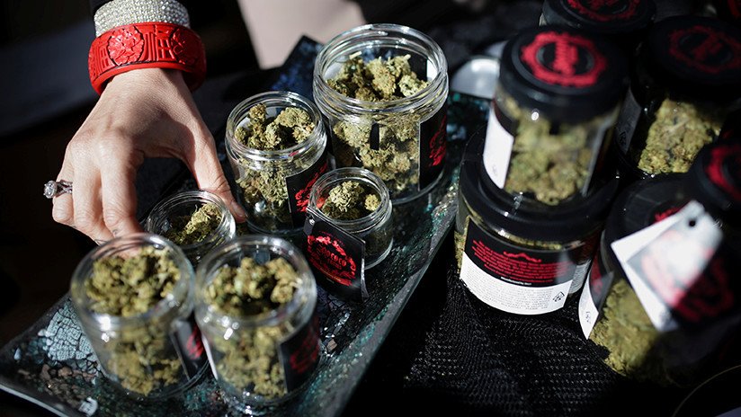 Las elecciones legislativas de EE.UU. sirven para que dos estados legalicen el consumo de marihuana