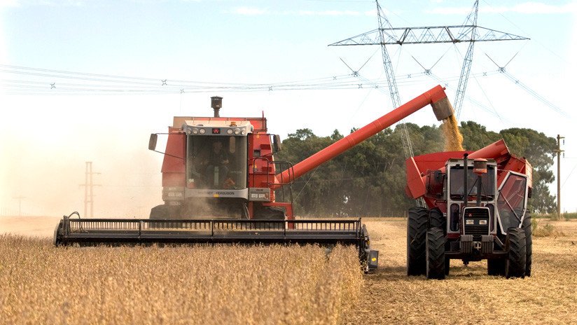 Ley de Semillas argentina: ¿Una iniciativa que beneficia a Monsanto-Bayer?