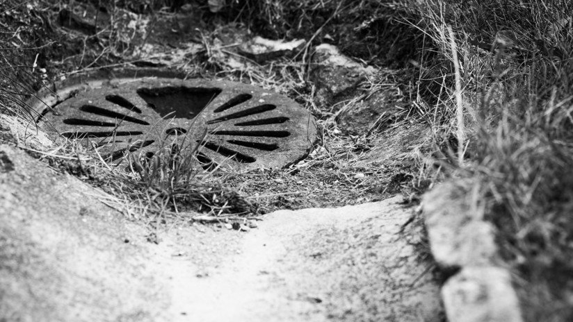 VIDEO: Captan a un 'monstruo de alcantarilla' hecho de un amasijo de gusanos pulsantes