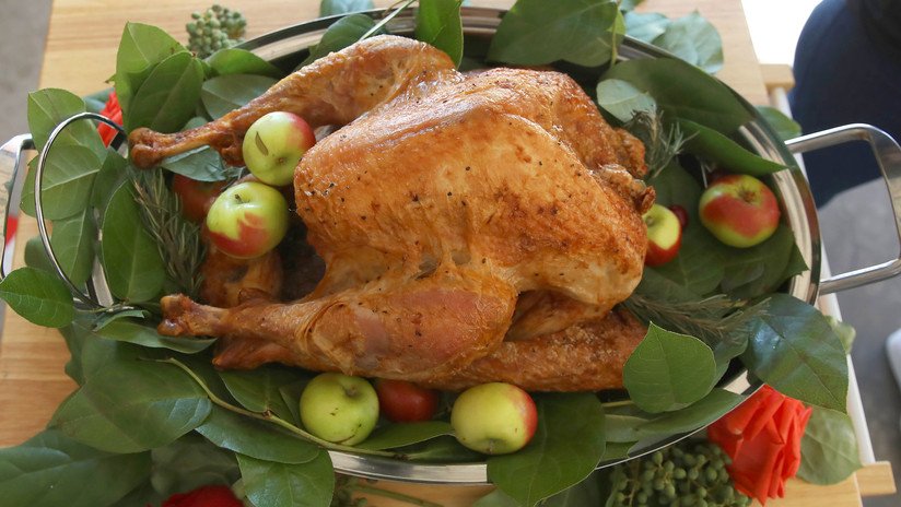 Nueva ilusión óptica: Un pavo comienza a 'moverse' en víspera del Día de Acción de Gracias (VIDEO)