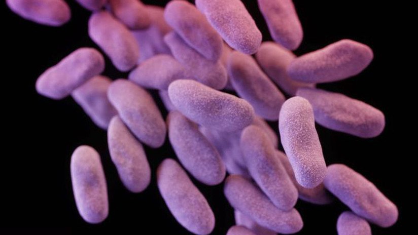 ¿Misiones espaciales en riesgo? Encuentran bacterias en la EEI resistentes a varios fármacos