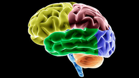 Un científico argentino detrás de un gran avance en la lucha contra el Alzheimer