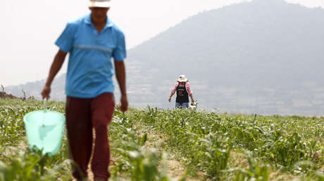 ¿Por qué la ecotécnica podría ayudar a combatir la marginación en México?