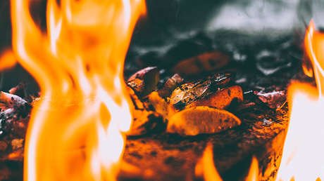 "¿Se puede probar?": El video viral de un cómico que asistió a la 'quema de droga' en Argentina