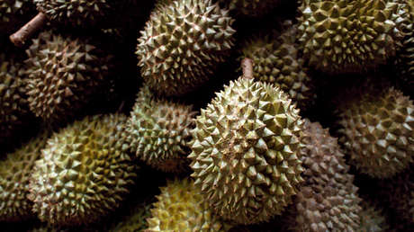 Pasajeros se niegan a volar en un Boeing 737 por transportar la fruta más apestosa del mundo