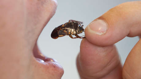 Beber orina o comer cucarachas: los castigos extremos de una compañía china a sus empleados (VIDEO)