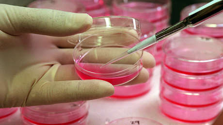 Descubren nuevo método de lucha contra uno de los cánceres más peligrosos