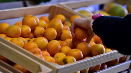 El jugoso regalo de Moon Jae-in en respuesta a las dos toneladas de setas obsequiadas por Kim