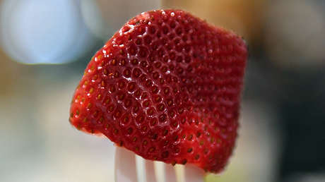 Arrestan a la 'terrorista' de las fresas, que causó pánico en toda Australia