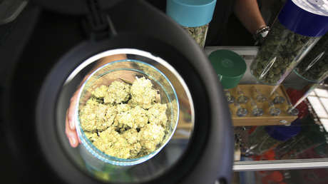 La marihuana podría mejorar la memoria en pacientes con alzhéimer