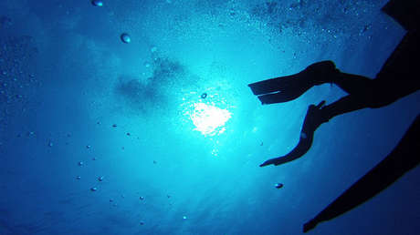 VIDEO: Buzos encuentran un gigantesco 'gusano de mar' de 8 metros de largo