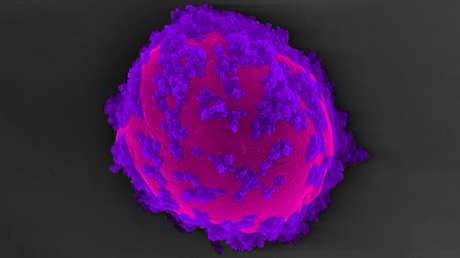 Microbios 'ciborg' triplican la producción química gracias a 'paneles solares'