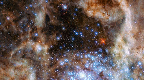 Revelan una condición fundamental para la creación de vida en el universo