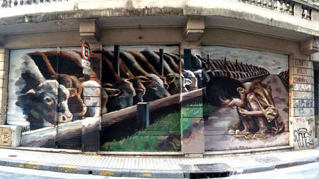 'Voicot', el osado grupo de activistas que rescata animales maltratados en Argentina