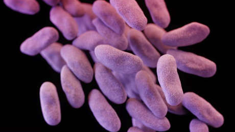 ¿Misiones espaciales en riesgo? Encuentran bacterias en la EEI resistentes a varios fármacos