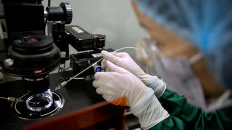 "Escandaloso e inaceptable": China detiene las investigaciones genéticas de los bebés modificados