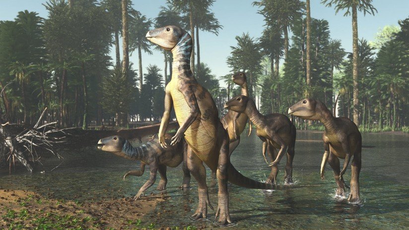 FOTO: Hallan un mineral sin saber que escondía una especie desconocida de dinosaurio