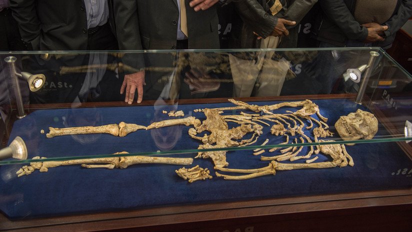 Descubren una especie desconocida de antepasado humano que vivía hace más de 3,6 millones de años