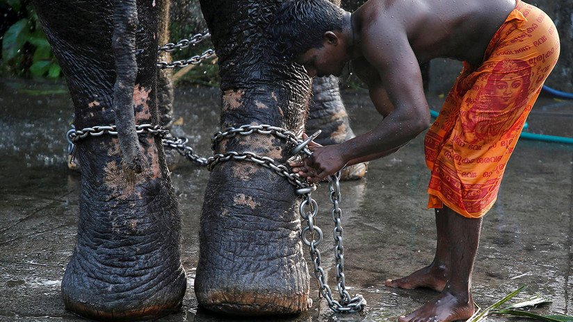 Las imágenes más coloridas e impactantes de la semana