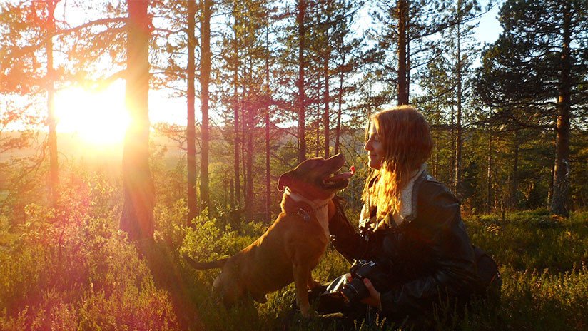 Una mujer sobrevive al ataque de un oso gracias a la ayuda de su perro chihuahua