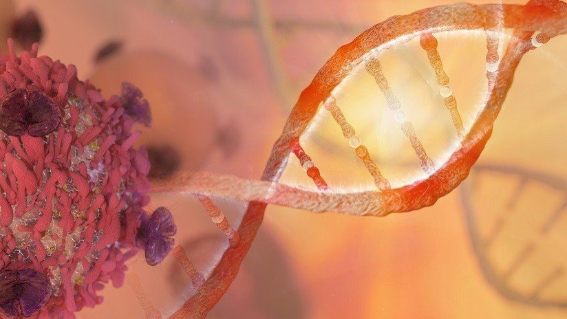 Un estudiante se inyecta una secuencia de ADN basada en versículos de la Biblia y el Corán