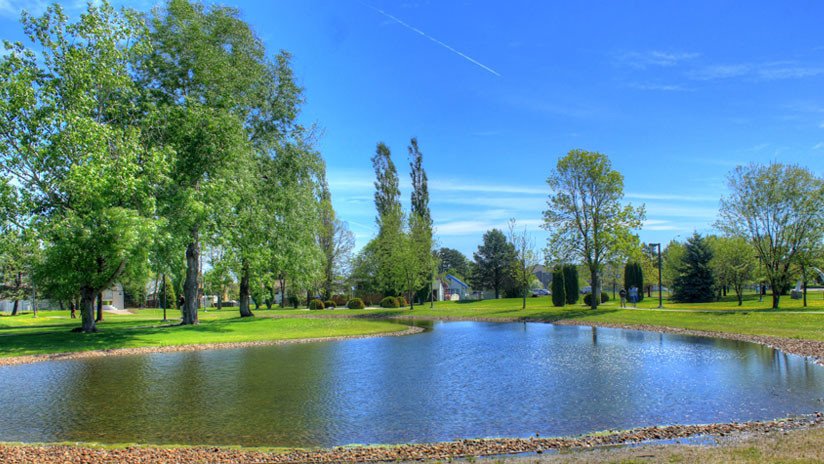 ¿Muro o estanque?: Una nueva ilusión óptica se viraliza y divide a los usuarios de las redes