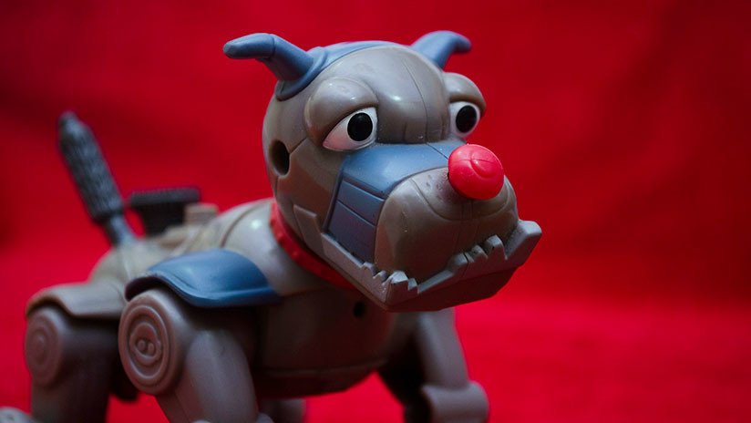 No es para tanto: solo un templo budista oficiando un funeral 'masivo' de perros-robot (VIDEO)