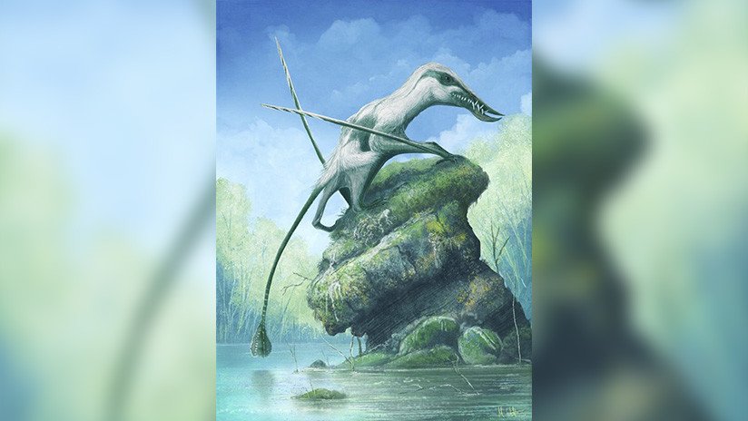 Descubren en el Reino Unido una nueva especie de pterosaurio del período Jurásico