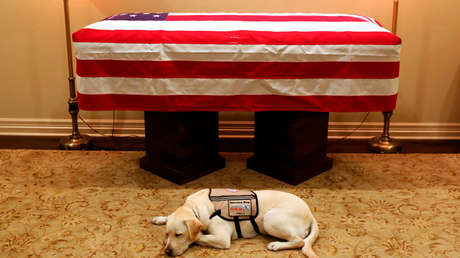 La foto del perro de George H.W. Bush resguardando su ataúd que hizo llorar a los internautas