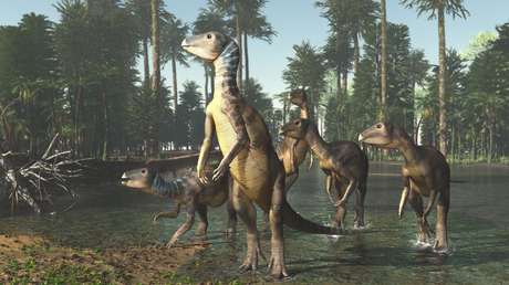 FOTO: Hallan un mineral sin saber que escondía una especie desconocida de dinosaurio