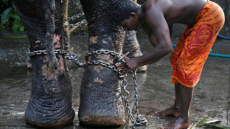 Las imágenes más coloridas e impactantes de la semana