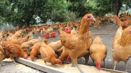 Científicos indican el principal y sorprendente impacto de los humanos en la biosfera de la Tierra