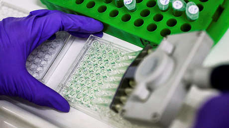 Premio Nobel de Medicina 2018: "El cáncer se podrá tratar con inmunoterapia para 2050"