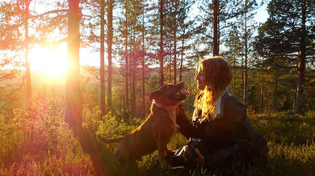 Una mujer sobrevive al ataque de un oso gracias a la ayuda de su perro chihuahua