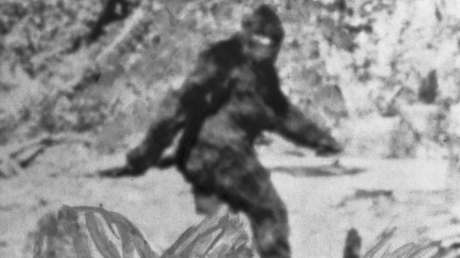 Un cazador dispara contra un hombre tras confundirlo con un Pie Grande