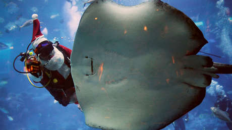 Descubra las 20 imágenes más espectaculares de la semana