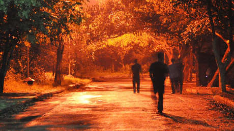 "Pensé que tendría que matarlo": Un 'zombi' intenta irrumpir en casa de una mujer en EE.UU. (VIDEO)