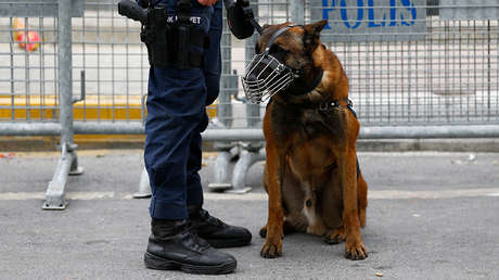 VIDEO: Un policía rescata a un perro atrapado en un lago helado y todos lo aplauden en la Red