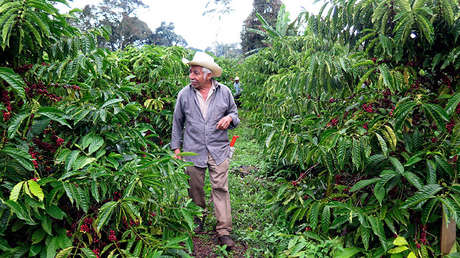 ¿En qué consisten los 'créditos a la palabra' que se otorgarán en México a los campesinos?