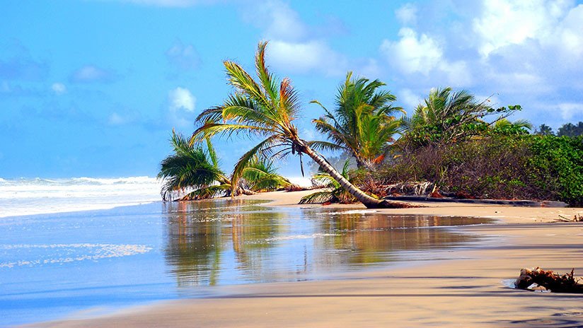 El calentamiento global de los océanos equivale a la explosión de una bomba atómica por segundo